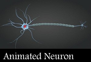 Animated Neuron