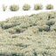 Wild Grass Low Poly Bundle 2024 Oltre 40 modelli