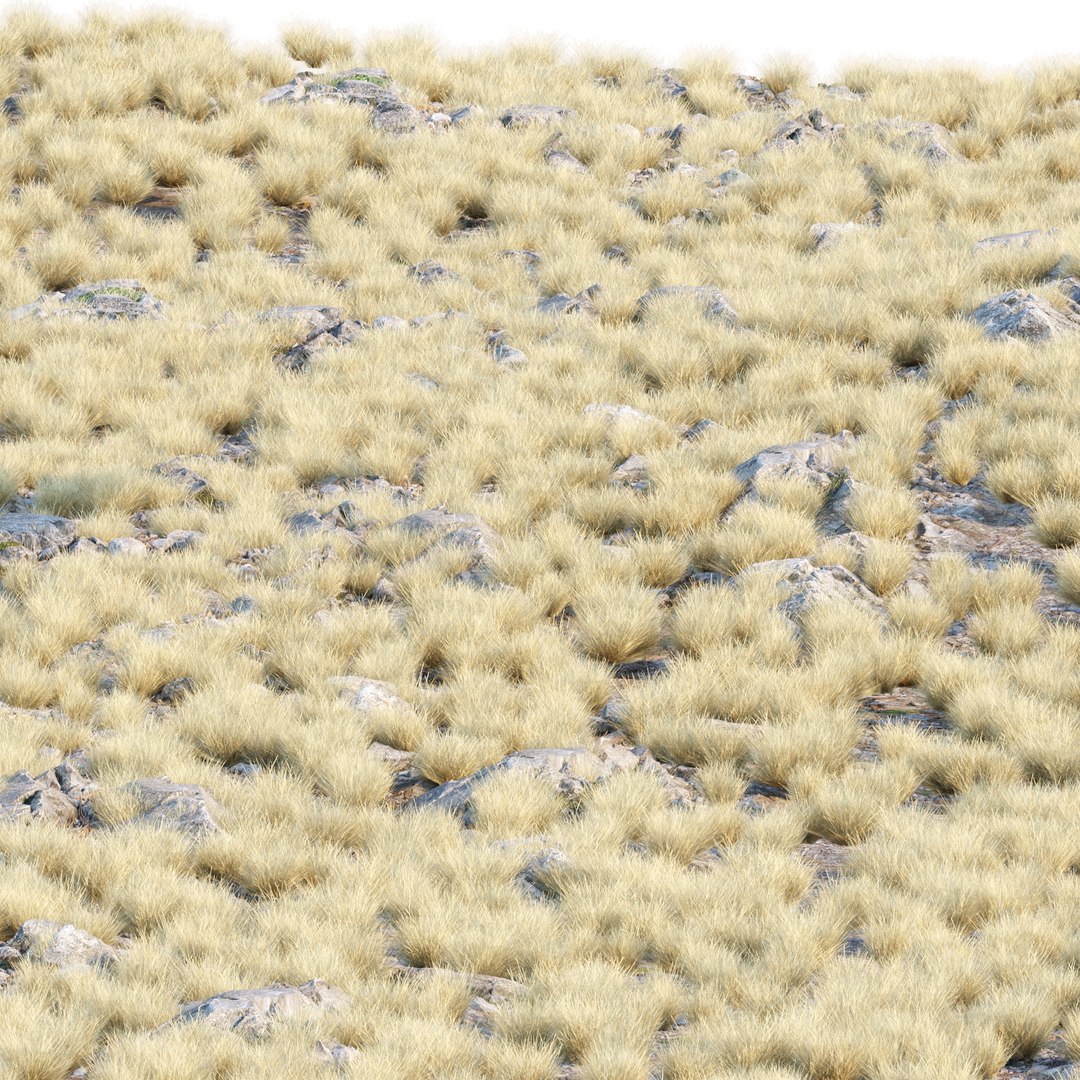 3D model Wild Grass Low Poly Bundle 2024  Over 40 Models https://p.turbosquid.com/ts-thumb/bi/qjoUYn/5M/18/jpg/1732888444/1920x1080/fit_q87/7487a137c79d6225009bcbdcd57f3295ce2ee853/18.jpg