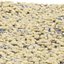 Wild Grass Low Poly Bundle 2024 Oltre 40 modelli