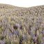 Wild Grass Low Poly Bundle 2024 Oltre 40 modelli