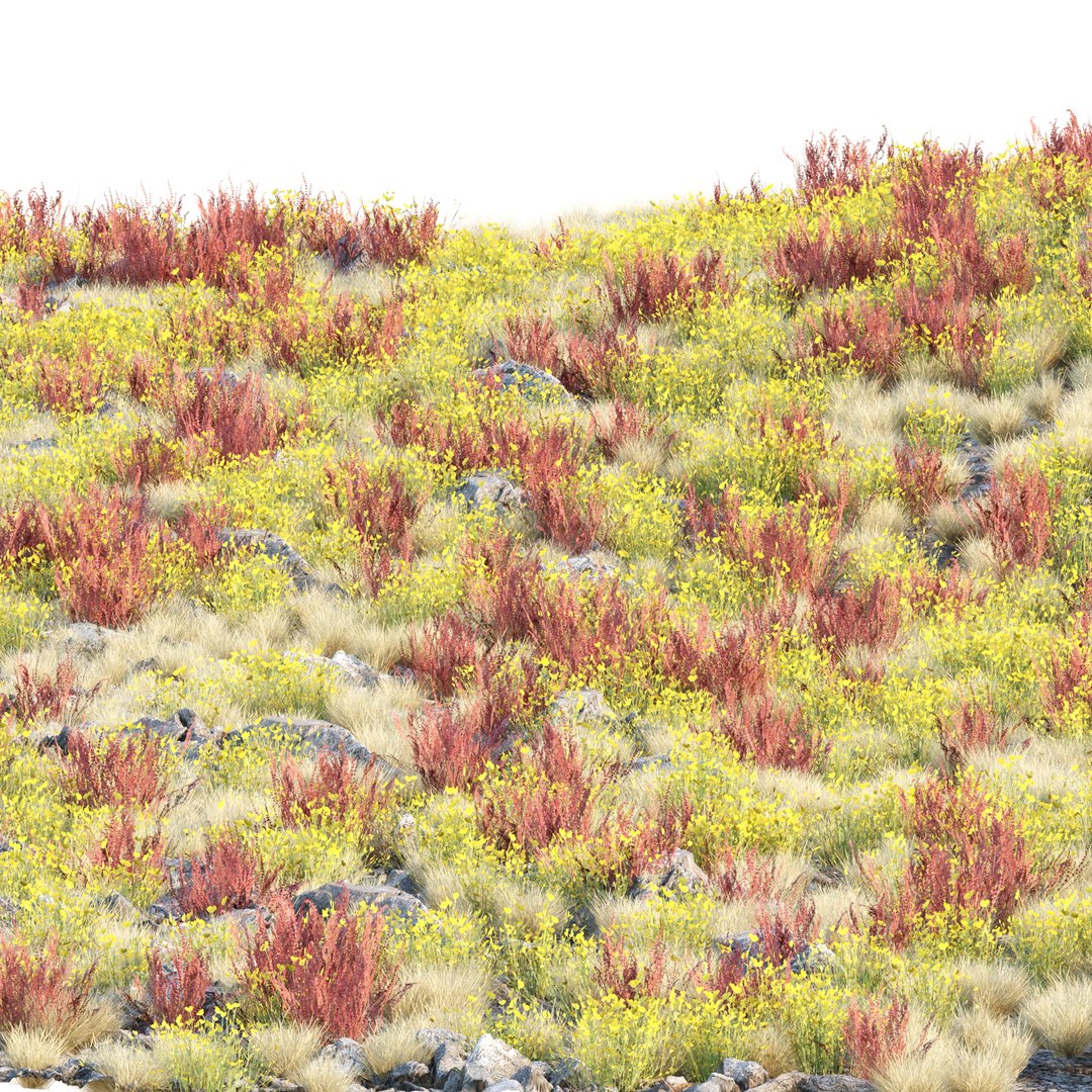 3D model Wild Grass Low Poly Bundle 2024  Over 40 Models https://p.turbosquid.com/ts-thumb/bi/qjoUYn/G0/17/jpg/1732888442/1920x1080/fit_q87/f252a58ed852f150cb02761c596d094a011b4922/17.jpg