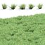 Wild Grass Low Poly Bundle 2024 Oltre 40 modelli