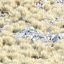 Wild Grass Low Poly Bundle 2024 Oltre 40 modelli