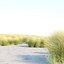 Wild Grass Low Poly Bundle 2024 Oltre 40 modelli