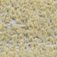 Wild Grass Low Poly Bundle 2024 Oltre 40 modelli