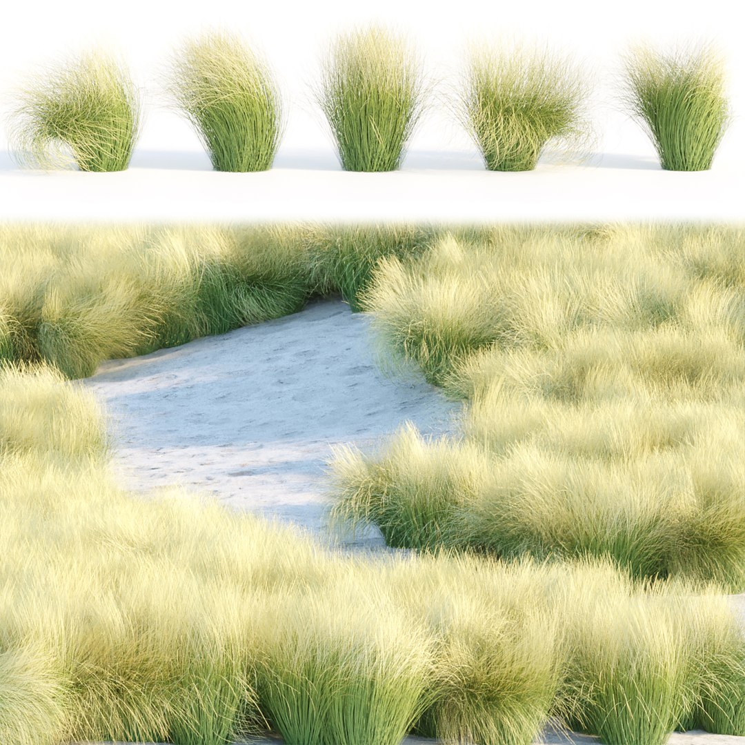 3D model Wild Grass Low Poly Bundle 2024  Over 40 Models https://p.turbosquid.com/ts-thumb/bi/qjoUYn/g0/5/jpg/1732888447/1920x1080/fit_q87/4a81e88cd5da33ba78738d818b209757546635de/5.jpg