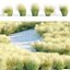 Wild Grass Low Poly Bundle 2024 Oltre 40 modelli