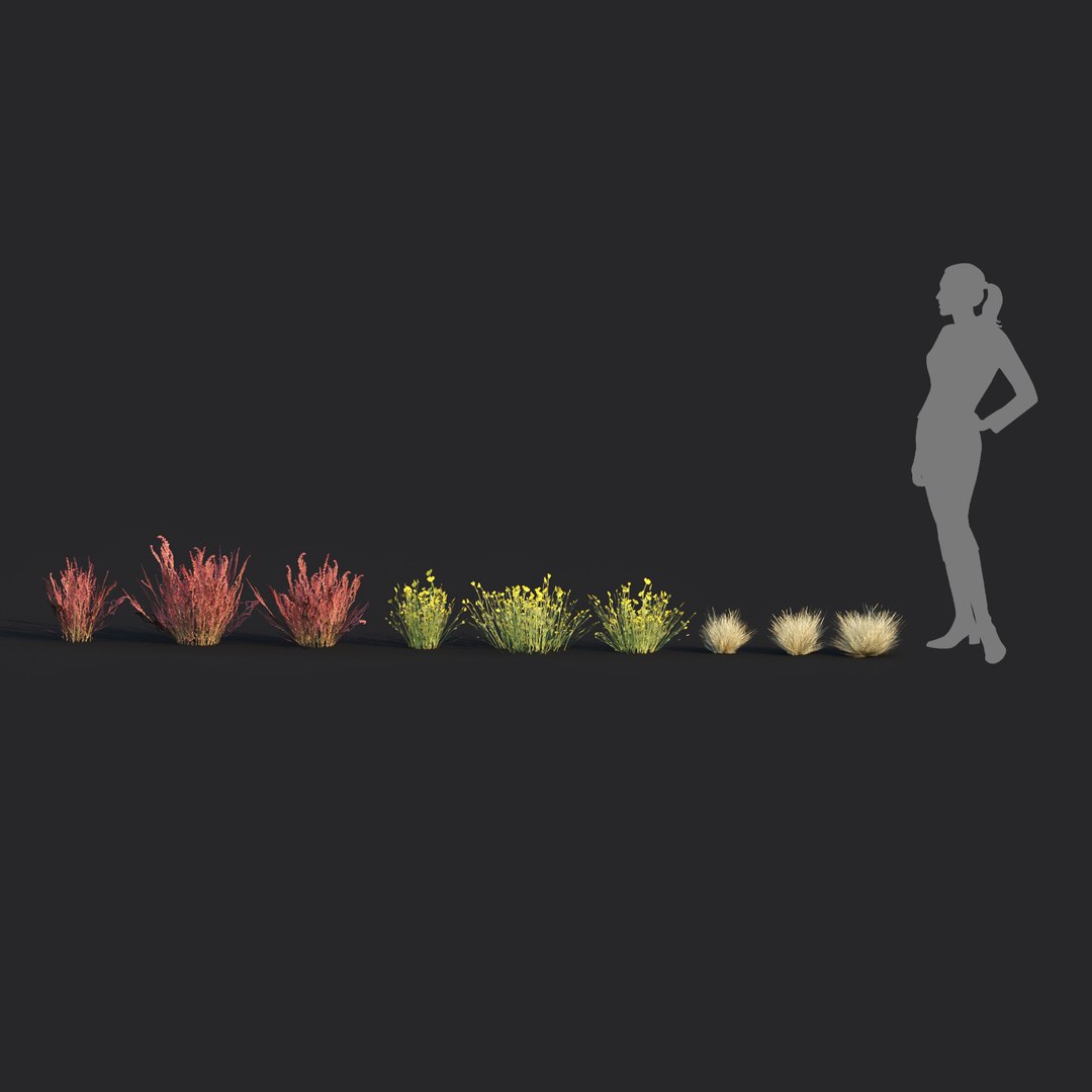 3D model Wild Grass Low Poly Bundle 2024  Over 40 Models https://p.turbosquid.com/ts-thumb/bi/qjoUYn/gh/16/jpg/1732888440/1920x1080/fit_q87/bf54219908607175ffeb81cc27ff77bdd52b7ab3/16.jpg