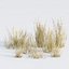 Wild Grass Low Poly Bundle 2024 Oltre 40 modelli