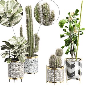 potted plants set 17 3D model