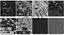 Sapper Robot