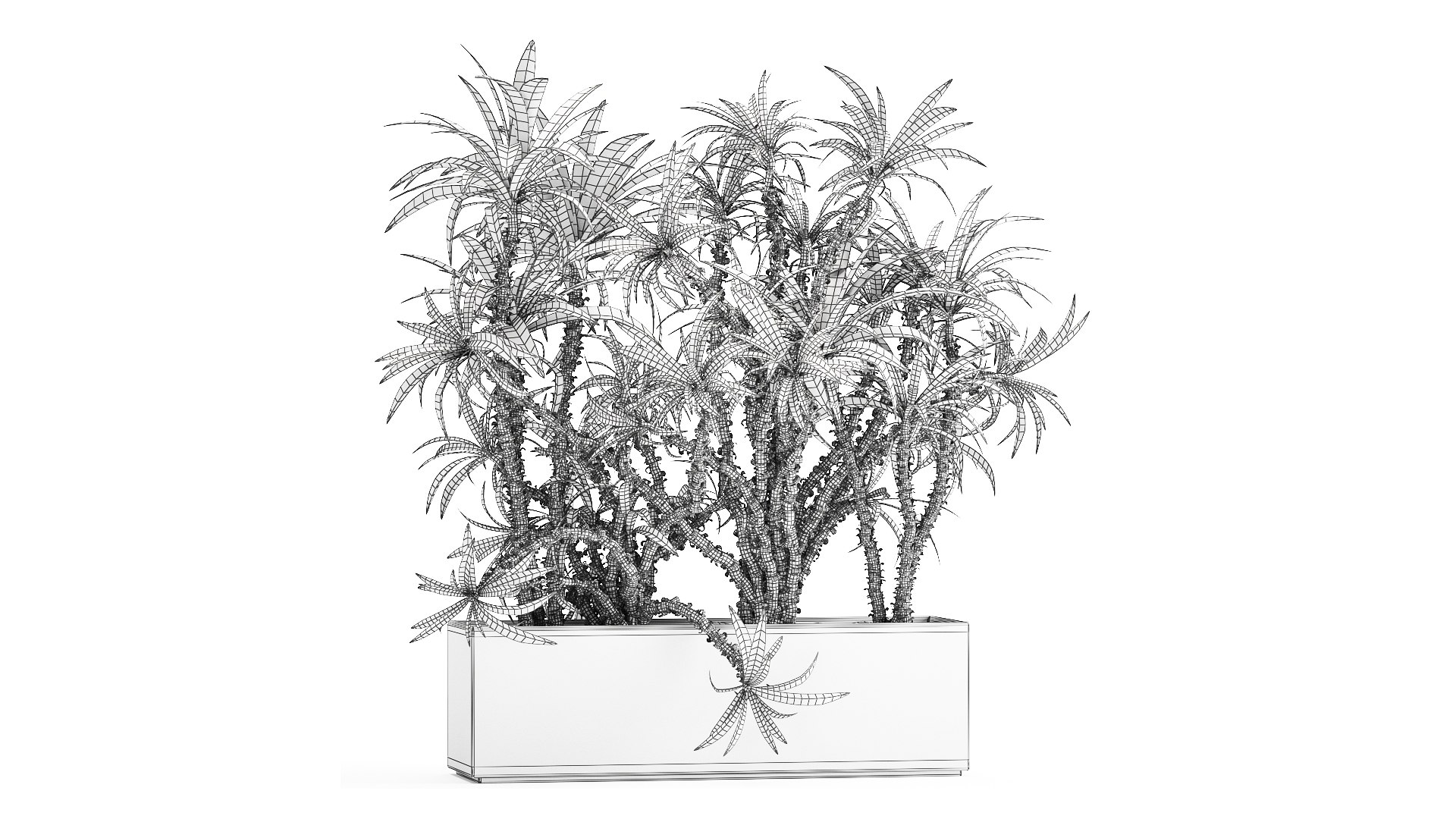 Dracaena in a flowerpot for the interior 1008 model https://p.turbosquid.com/ts-thumb/bj/94WS2h/a2/1plant2606202109/jpg/1624885844/1920x1080/fit_q87/a8d52c3d7e196d6c878f2a129d35d10332ad1b6f/1plant2606202109.jpg