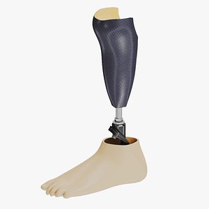Below knee prosthetics v2 3D model