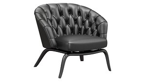 3D minotti-winston model