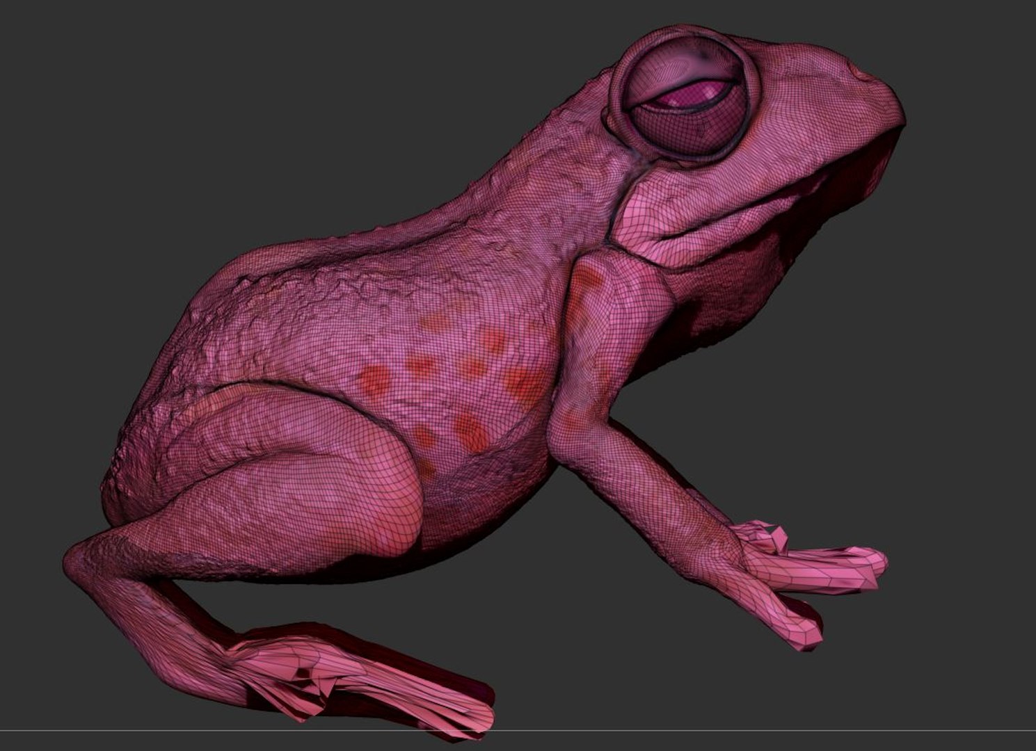 3D Realistic Frog Sculpt - TurboSquid 1736502