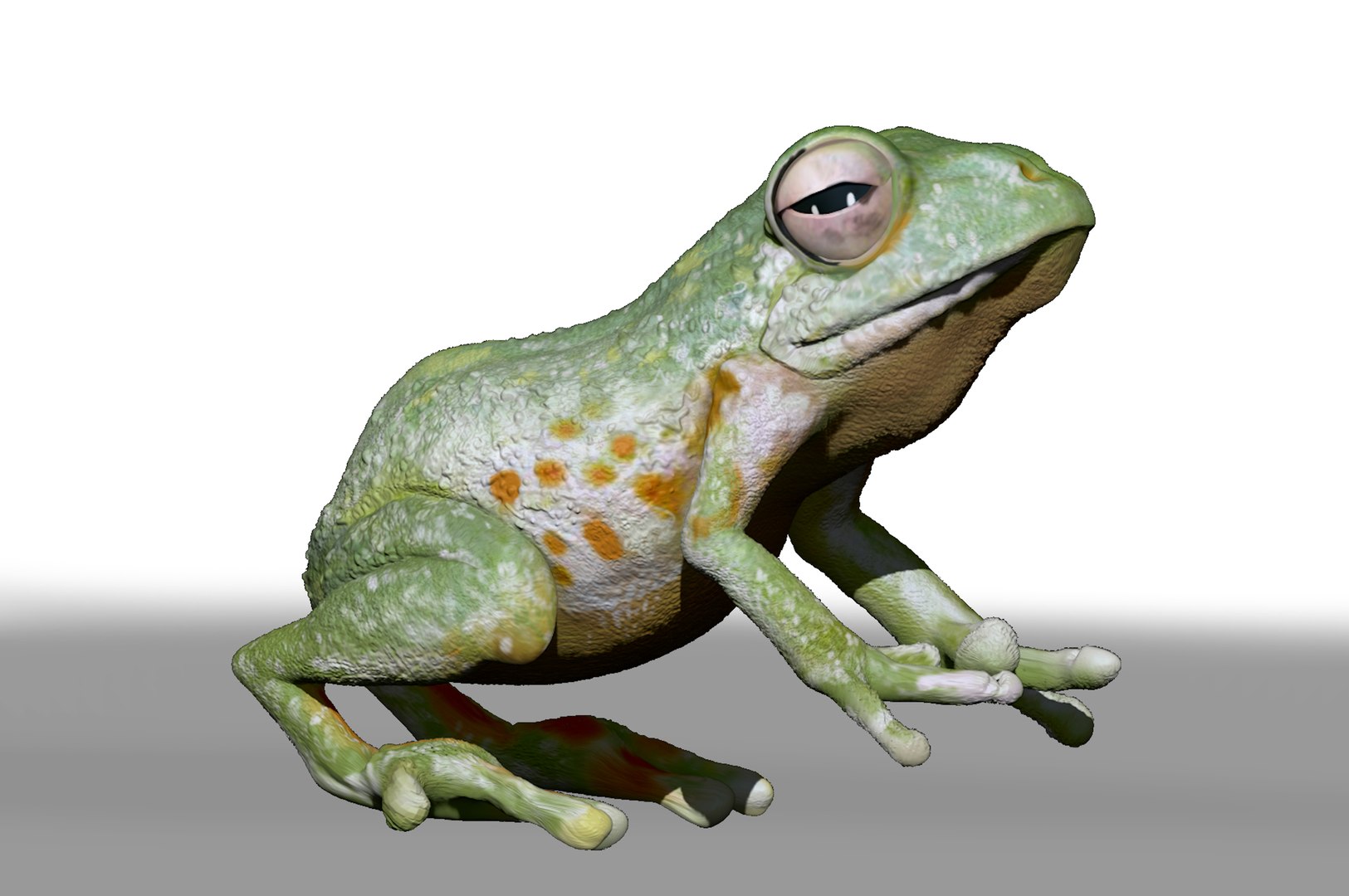 3D Realistic Frog Sculpt - TurboSquid 1736502