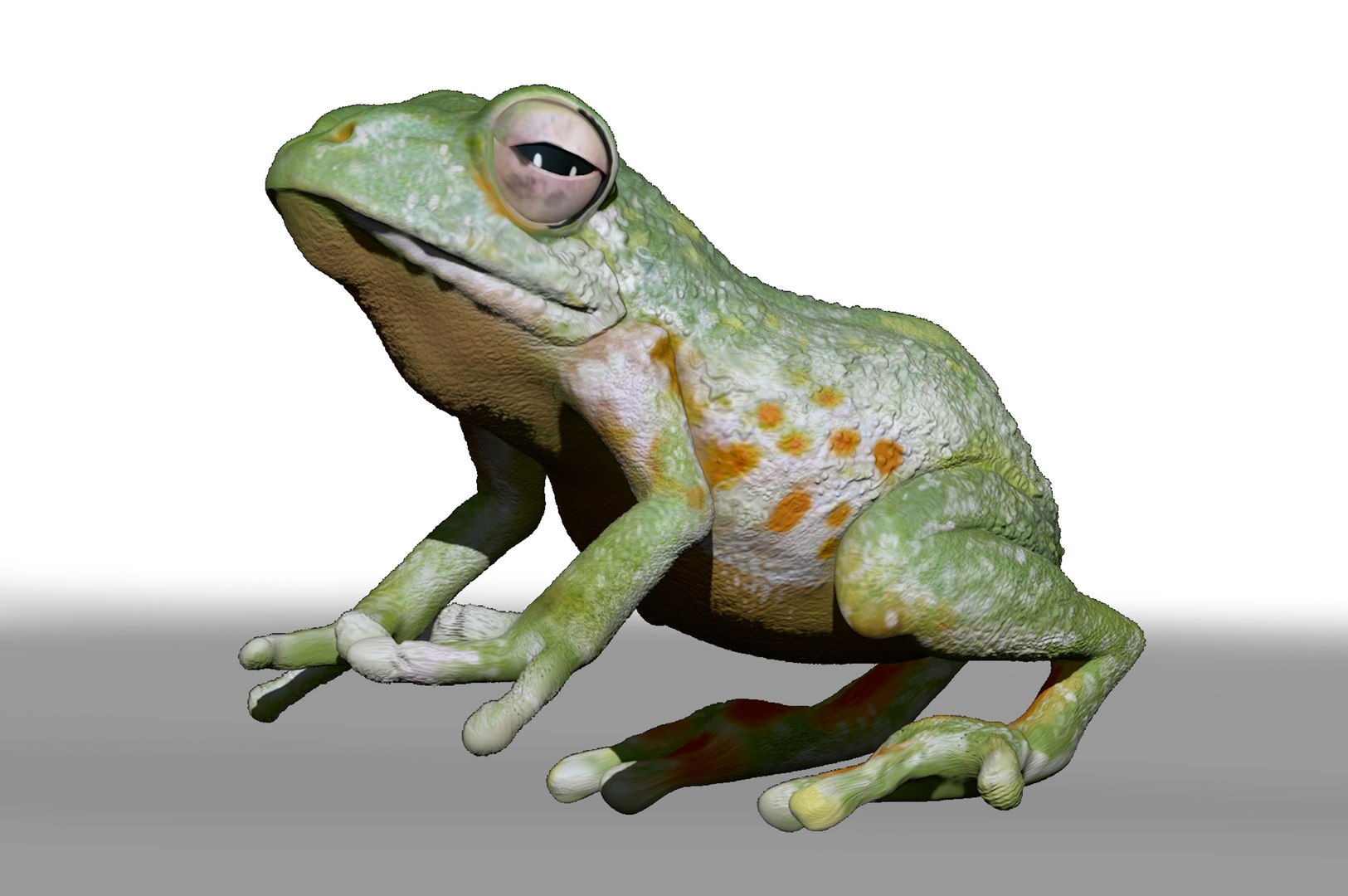 3D Realistic Frog Sculpt - TurboSquid 1736502