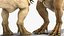 Colección animada de Tyrannosaurus Rex