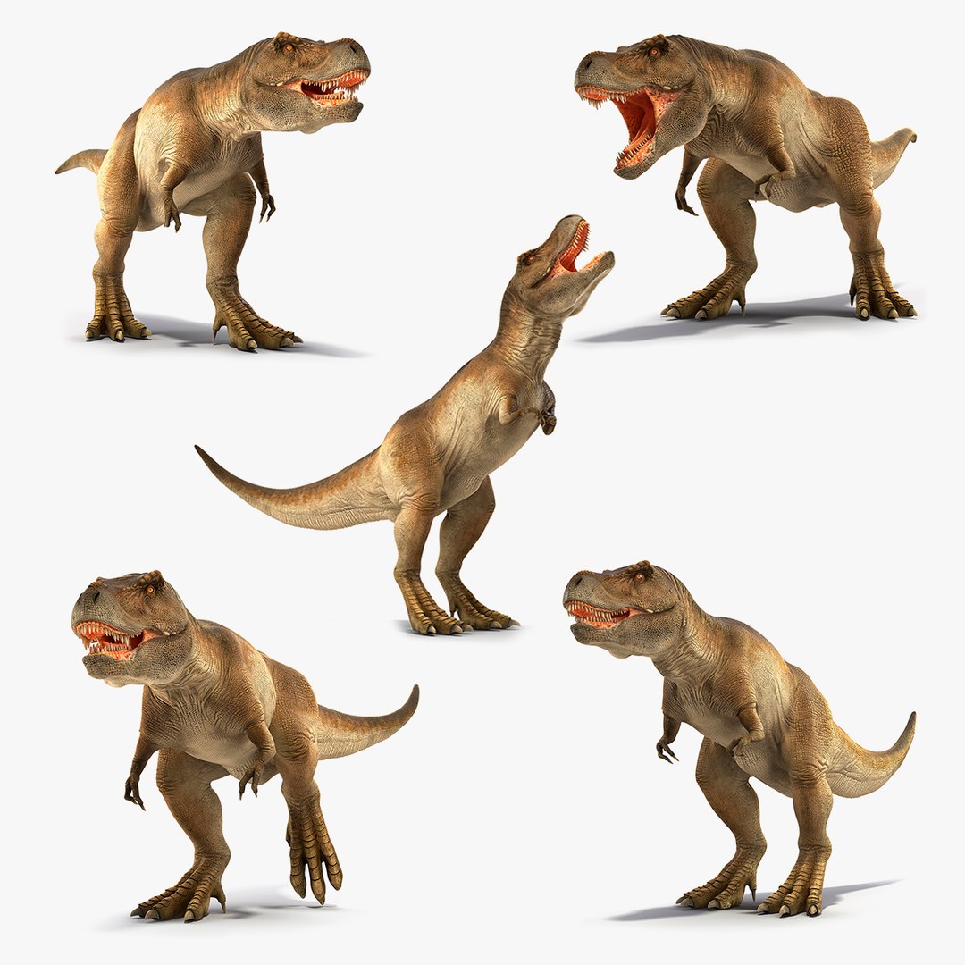 3D tyrannosaurus rex running dinosaur animal model - TurboSquid 1566261