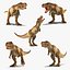 Colección animada de Tyrannosaurus Rex