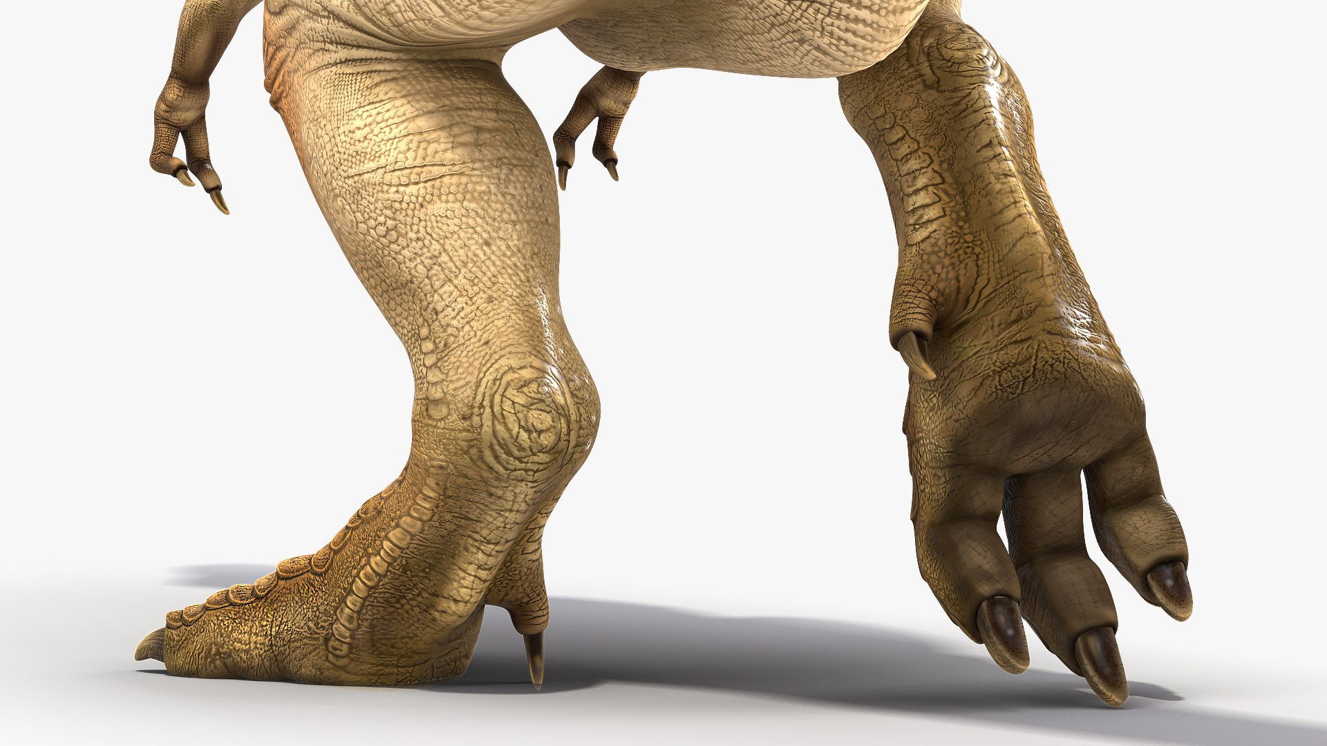 tyrannosaurus rex animal 3D model https://p.turbosquid.com/ts-thumb/bj/EqaloH/djpCWBDv/animatedtyrannosaurusrexcollectionc4dmodel028/jpg/1593199423/1920x1080/fit_q87/592b65ffb0f29374d0fbae2276493a2864ebe60e/animatedtyrannosaurusrexcollectionc4dmodel028.jpg
