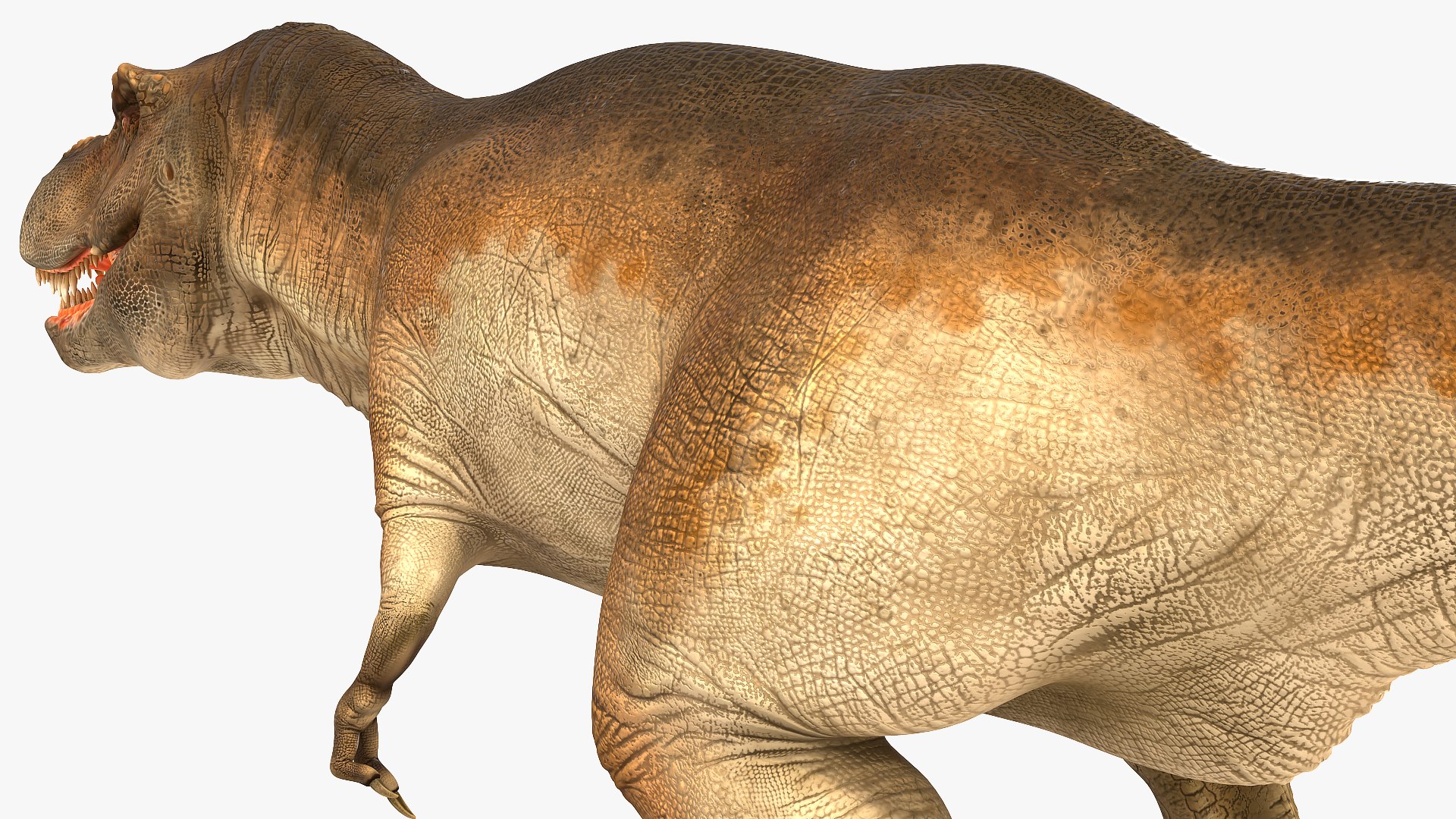 tyrannosaurus rex animal 3D model https://p.turbosquid.com/ts-thumb/bj/EqaloH/qThSNLpn/animatedtyrannosaurusrexcollectionc4dmodel027/jpg/1593199423/1920x1080/fit_q87/c59f5c1fd1ee343e2826ae6413143c9e71dff439/animatedtyrannosaurusrexcollectionc4dmodel027.jpg