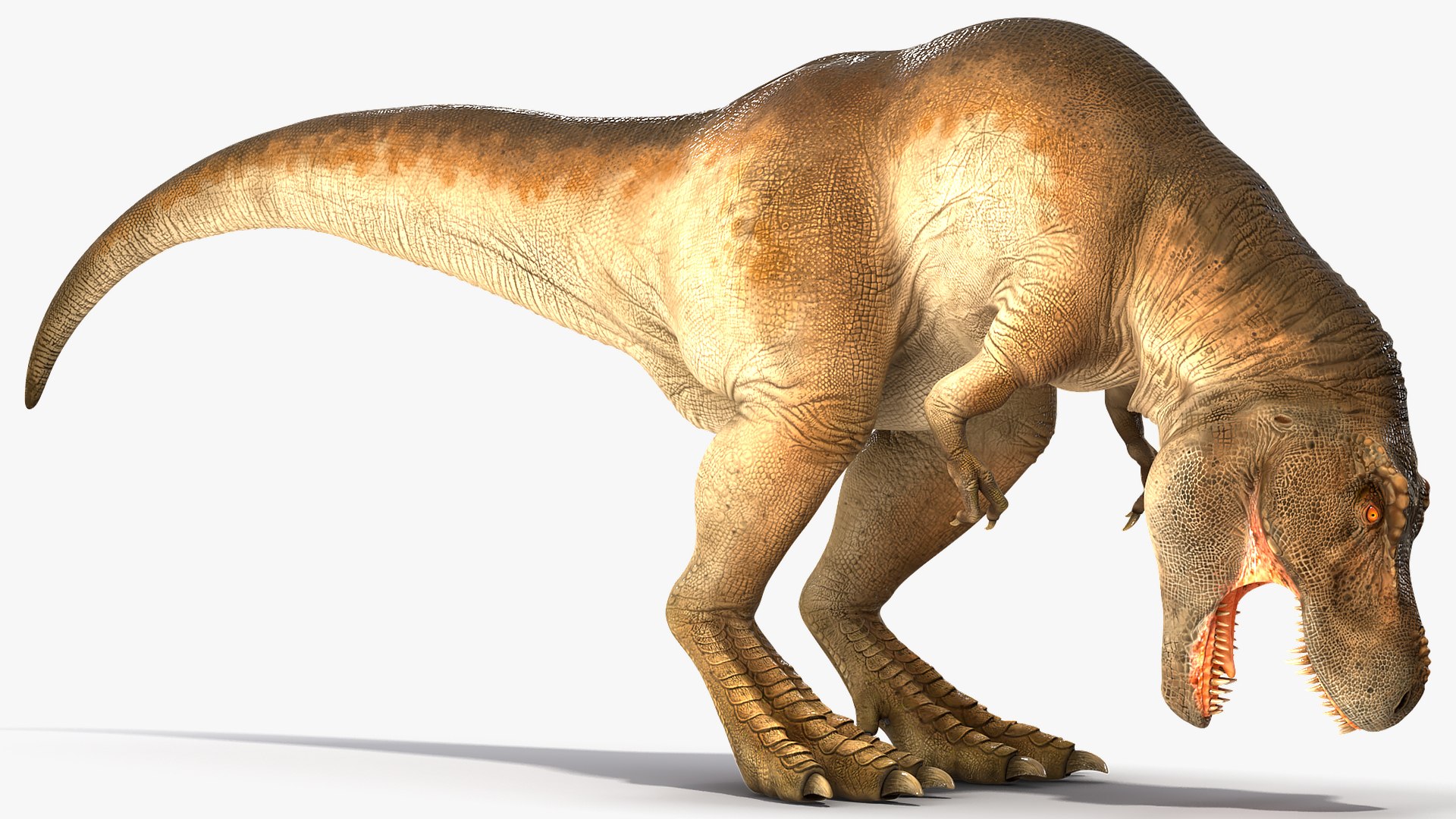 tyrannosaurus rex animal 3D model https://p.turbosquid.com/ts-thumb/bj/EqaloH/yIUbAFya/animatedtyrannosaurusrexcollectionc4dmodel031/jpg/1593199423/1920x1080/fit_q87/79a9f4aa1bedd95b5f4b9e879146c9a40e843ae8/animatedtyrannosaurusrexcollectionc4dmodel031.jpg