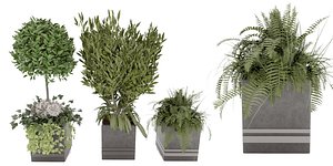 Collection plant vol 31 - blender model model