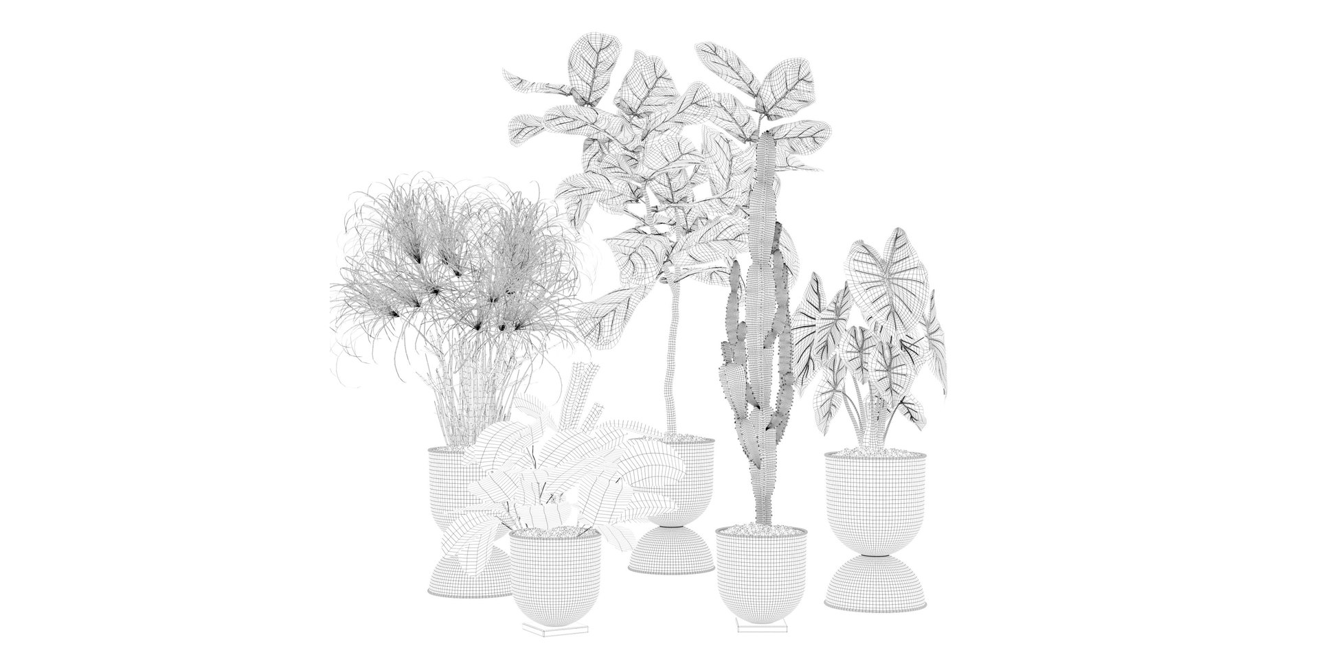 Plants collection 125 3D model https://p.turbosquid.com/ts-thumb/bj/HoTIey/9n/5/jpg/1663234239/1920x1080/fit_q87/a3db0b54fe99b0b566d6b5c4d25de766fb4fa0a5/5.jpg