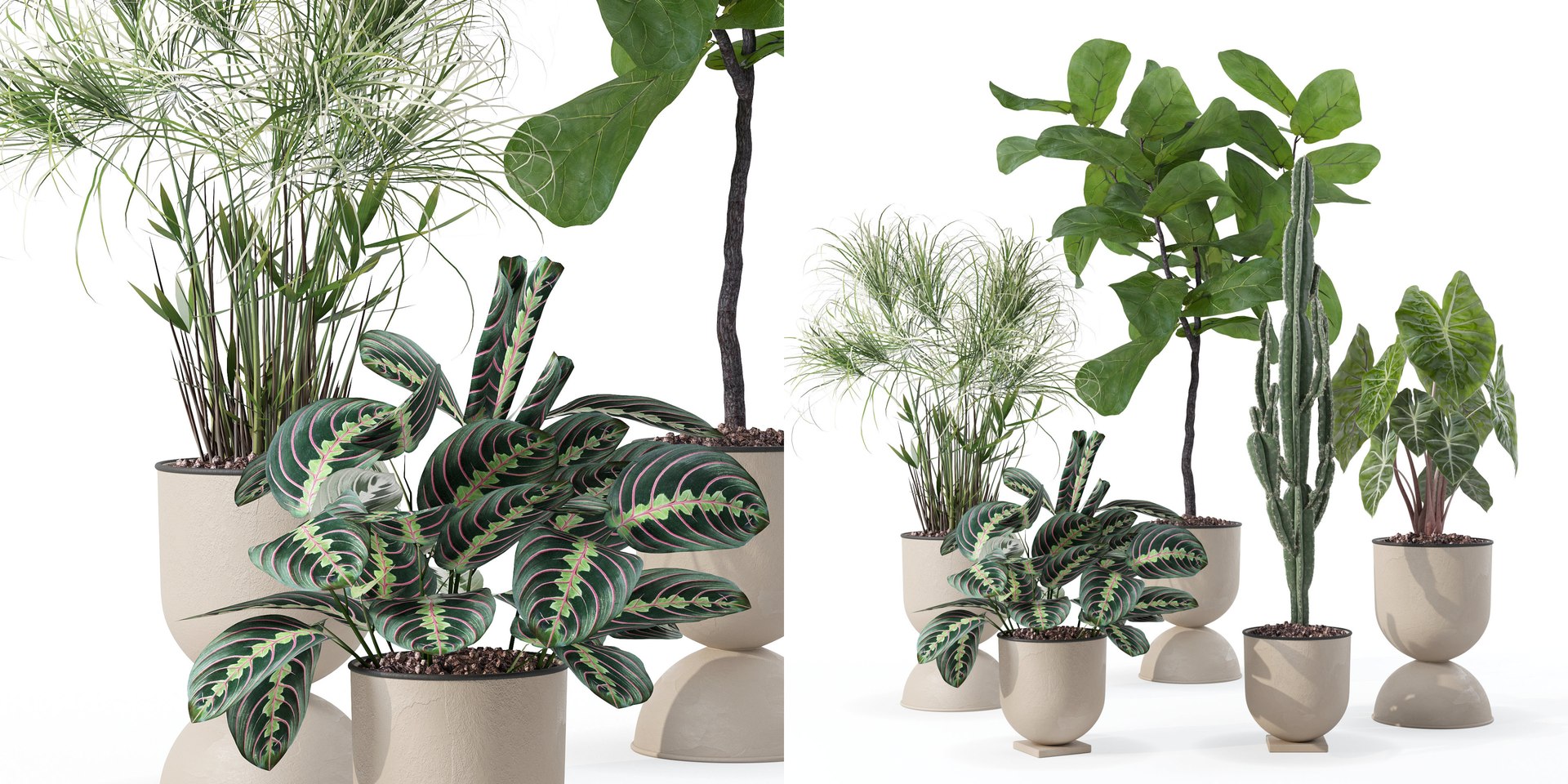 Plants collection 125 3D model https://p.turbosquid.com/ts-thumb/bj/HoTIey/AM/2/jpg/1663234237/1920x1080/fit_q87/e29bc5a35f035f21bbc8121076e75322a9738efc/2.jpg