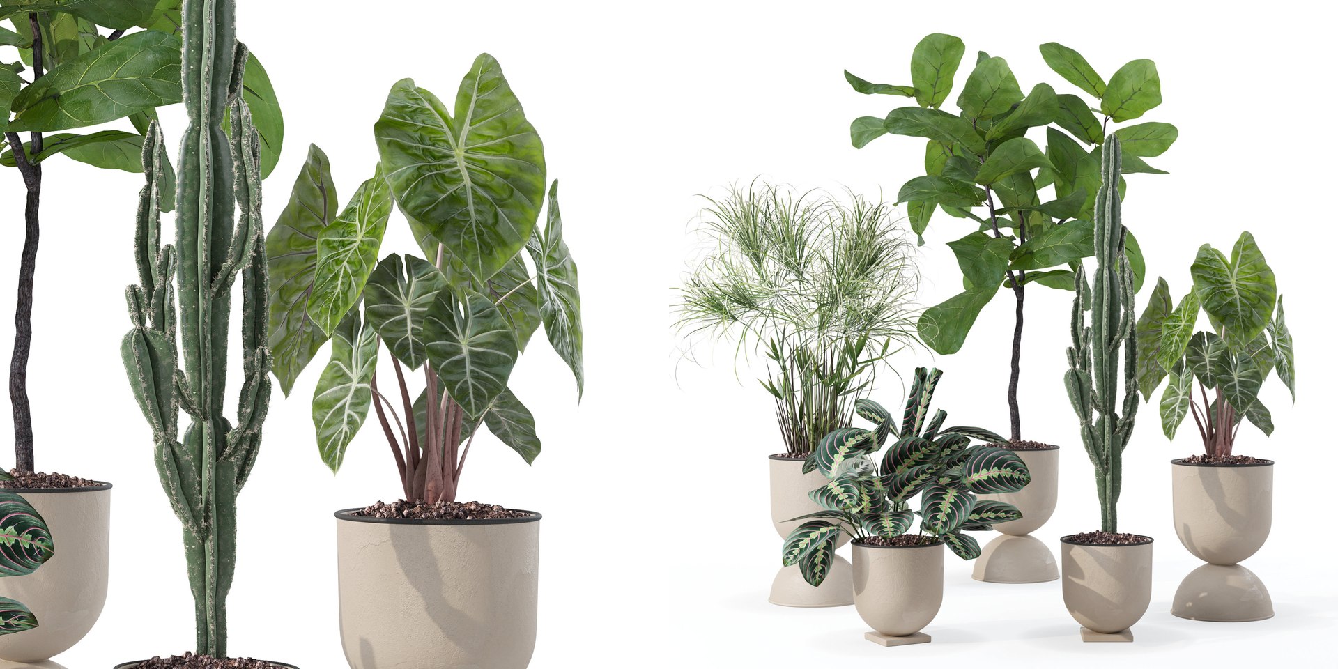 Plants collection 125 3D model https://p.turbosquid.com/ts-thumb/bj/HoTIey/DR/3/jpg/1663234238/1920x1080/fit_q87/25303337fd51171e7746abb6fe4f356891bcd0df/3.jpg