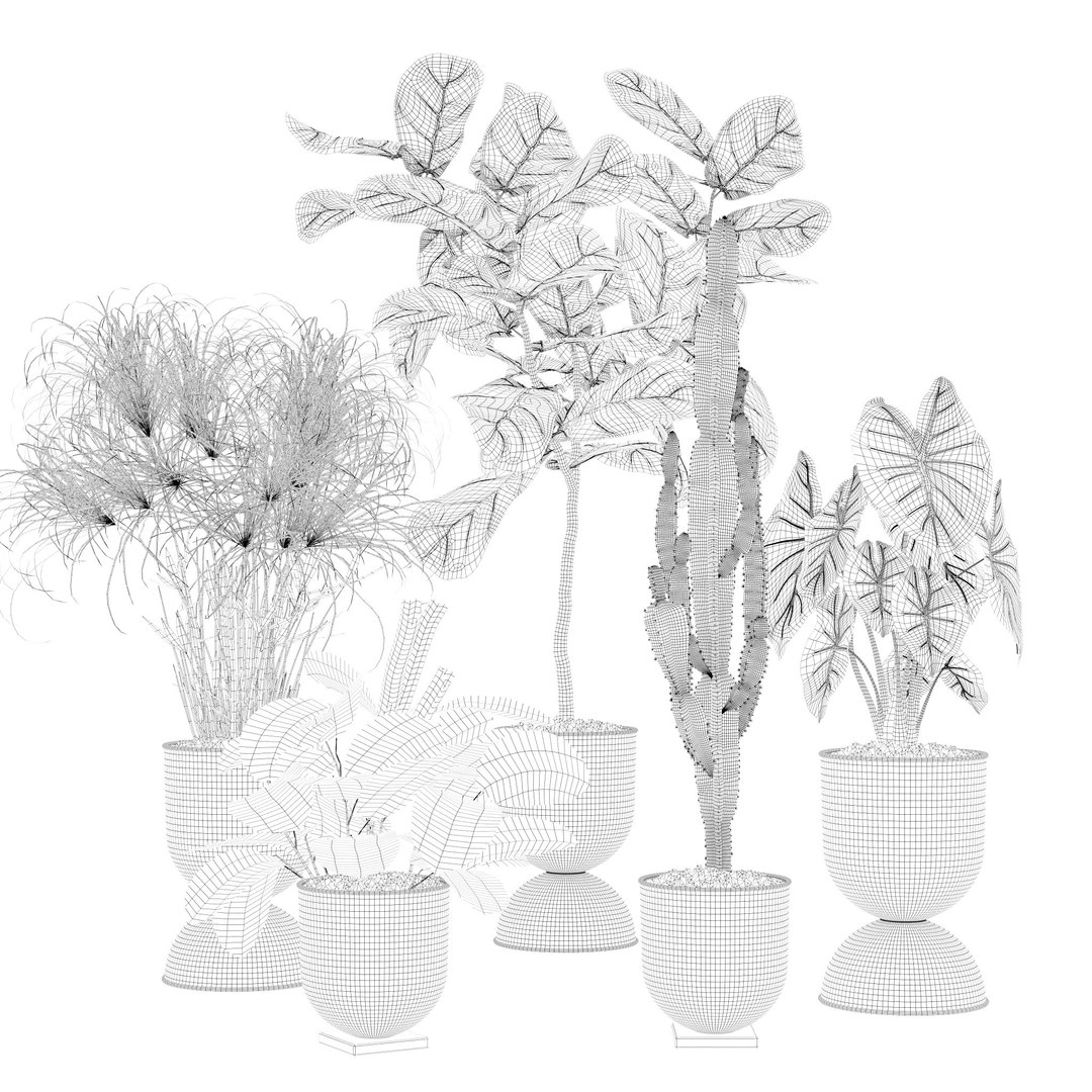 Plants collection 125 3D model https://p.turbosquid.com/ts-thumb/bj/HoTIey/Dg/6/jpg/1663234239/1920x1080/fit_q87/f05a35630280d48f0753a77e73aa1e9e2bbf5e86/6.jpg
