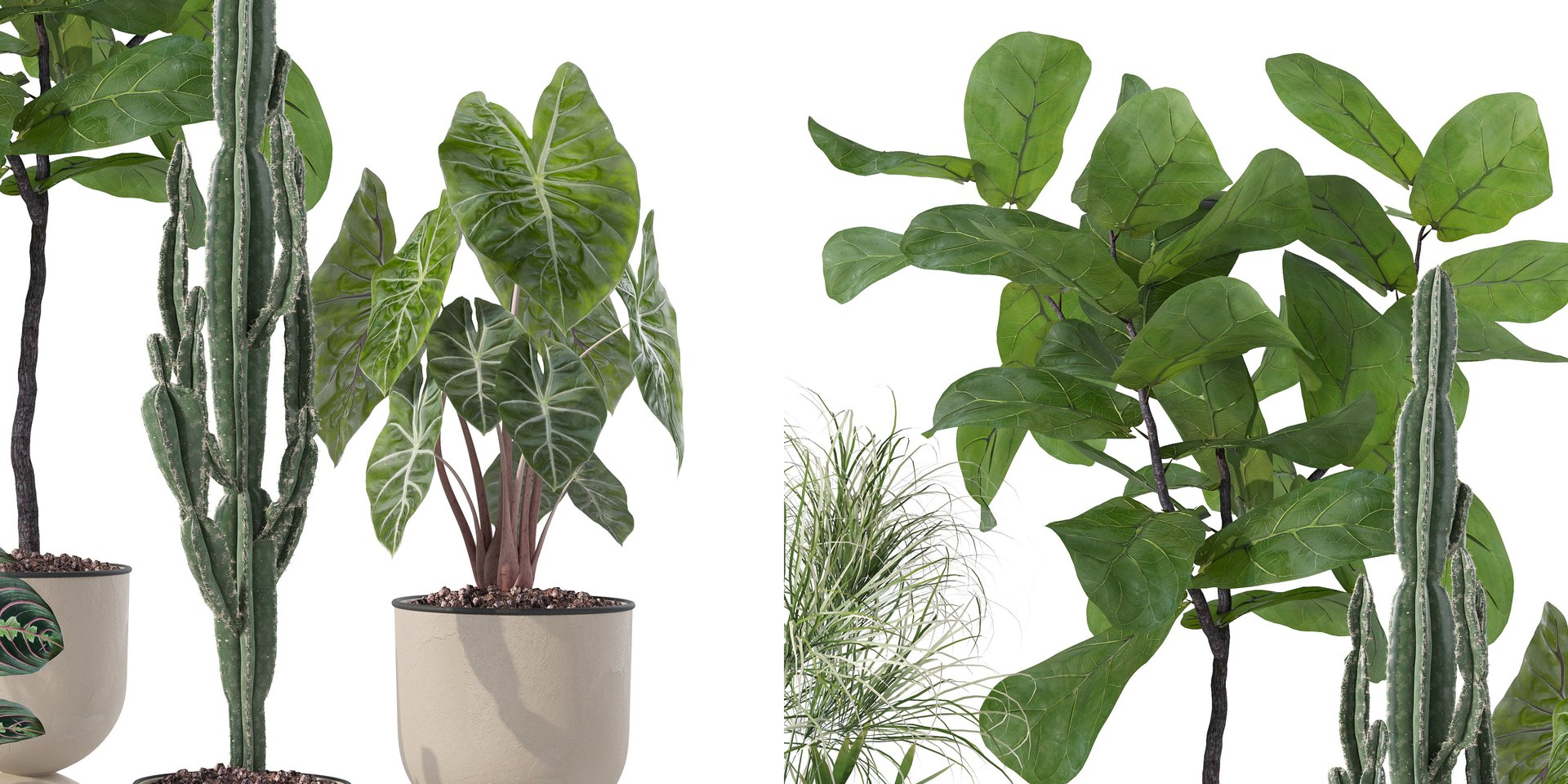 Plants collection 125 3D model https://p.turbosquid.com/ts-thumb/bj/HoTIey/Wc/4/jpg/1663234239/1920x1080/fit_q87/c436f159fe2b3056af25113a3a75948c50fcdea0/4.jpg