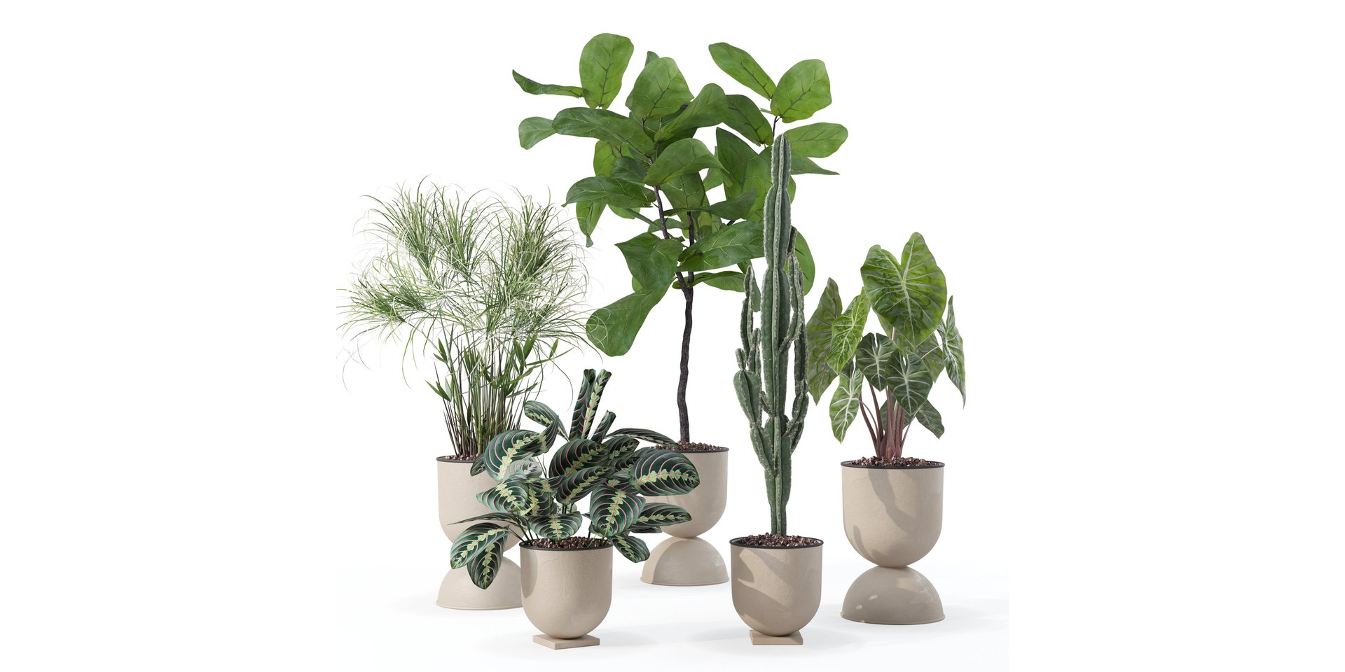 Plants collection 125 3D model https://p.turbosquid.com/ts-thumb/bj/HoTIey/iW/1/jpg/1663234236/1920x1080/fit_q87/b75951d5a7774292beae1f00f6986bb14f043f9d/1.jpg