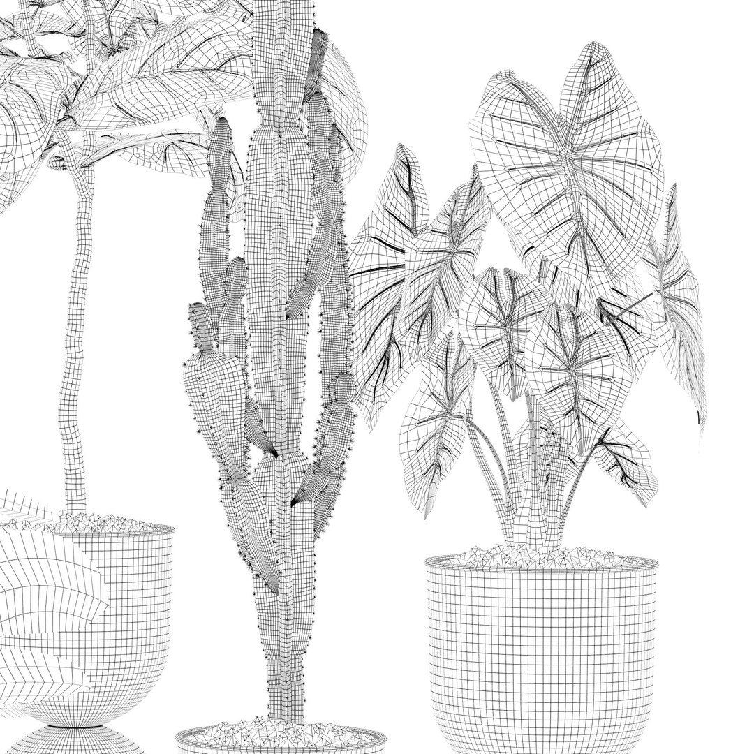 Plants collection 125 3D model https://p.turbosquid.com/ts-thumb/bj/HoTIey/zB/7/jpg/1663234240/1920x1080/fit_q87/3144a46865683b631f99c4197a17d454063002cb/7.jpg