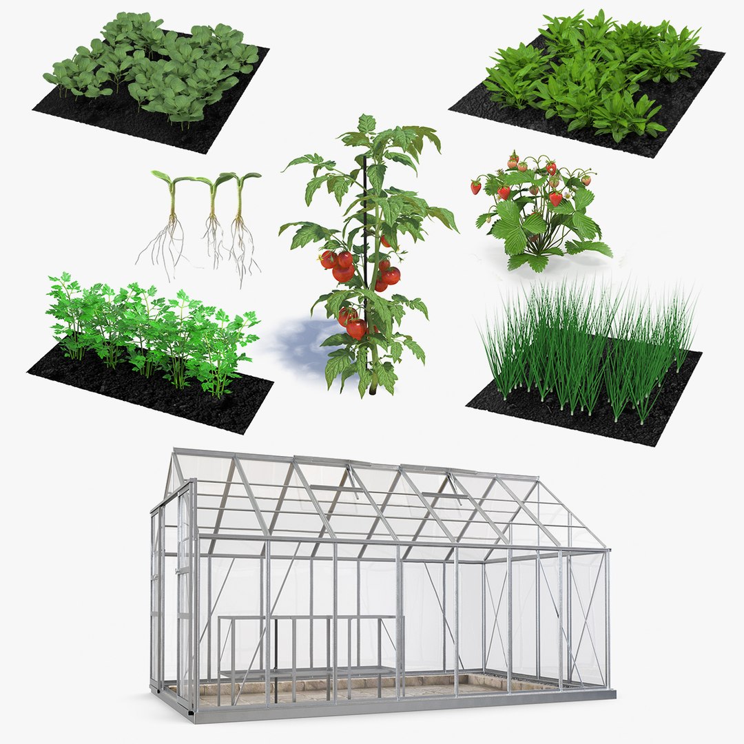 Garden Greenhouse with Grows Collection 5 3D model preview