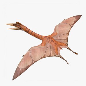 3D Quetzalcoatlus - Dinosaur model