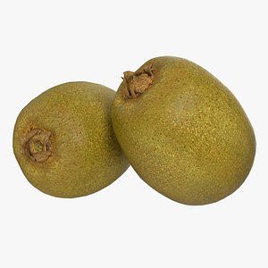 kiwi fruit modeled 3d model