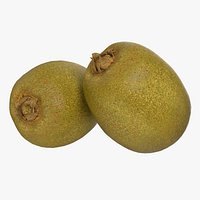 Kiwi Fruit 3D Model