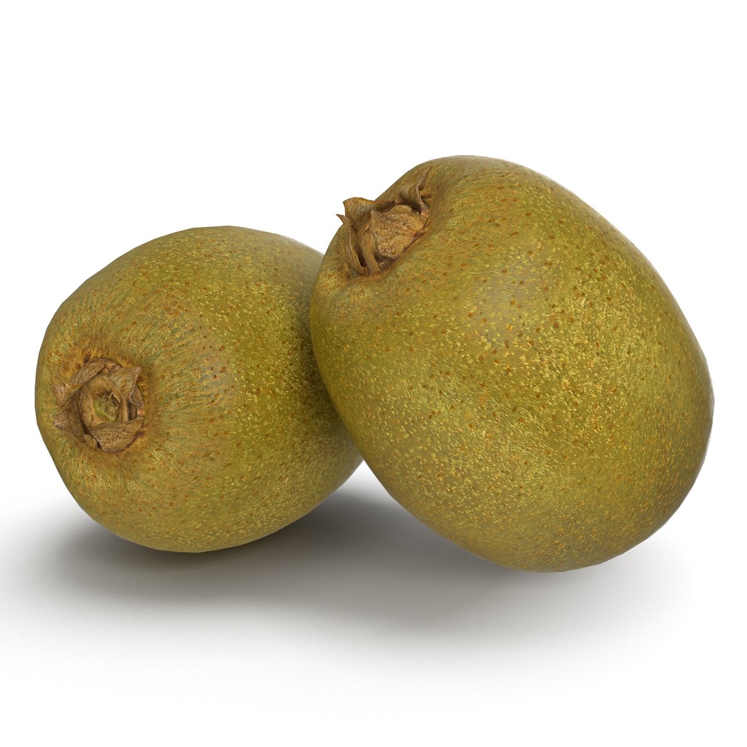 Kiwi Fruit 3D Model 3D model preview