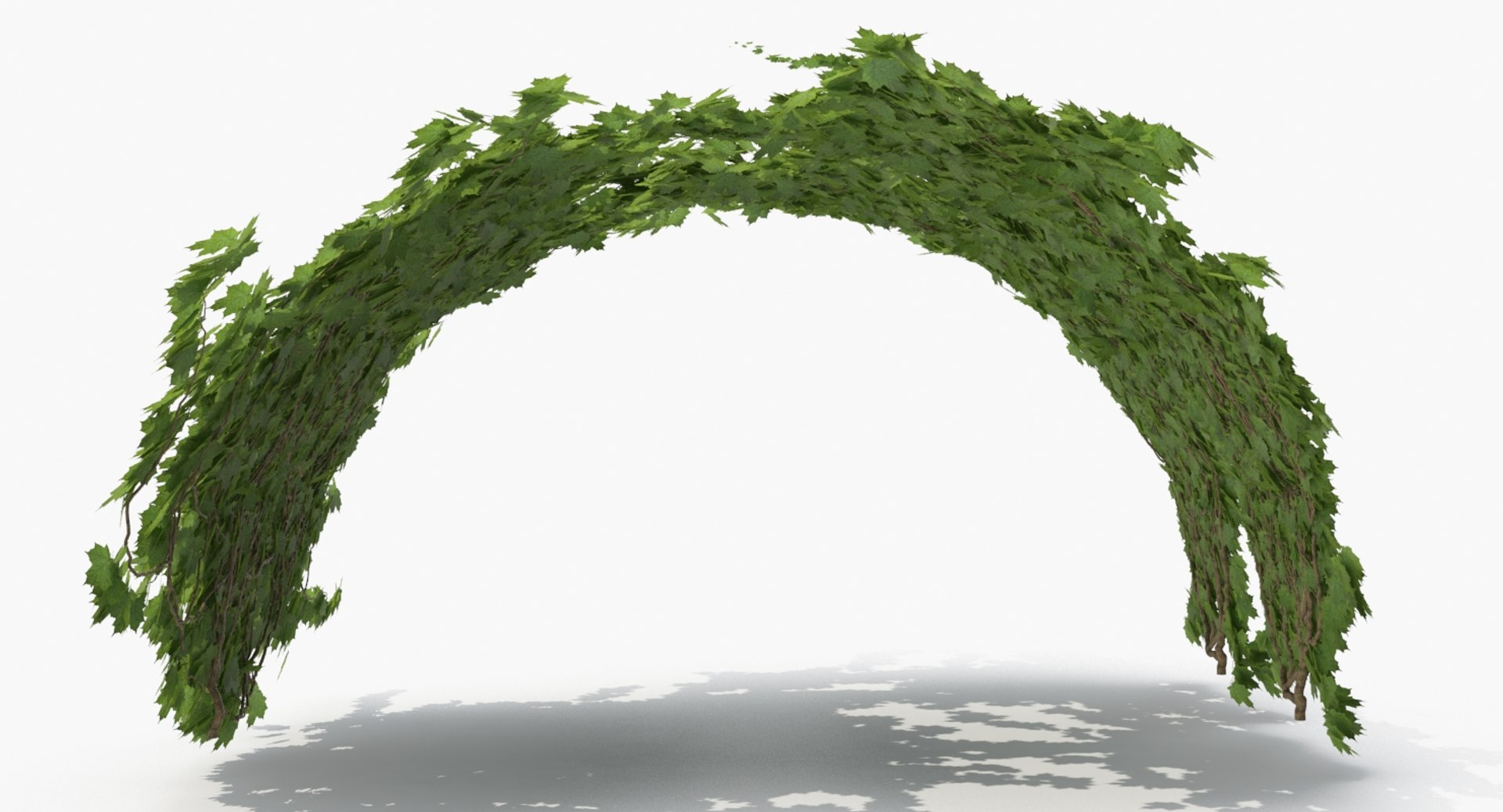 3D model ivy https://p.turbosquid.com/ts-thumb/bj/eJsCos/01Cd3GpJ/ivy_p2_08_view010125/jpg/1515946741/1920x1080/fit_q87/17de3bf44a47e0e3f3a1ddcaecc697117210bc37/ivy_p2_08_view010125.jpg