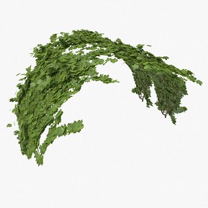 3D model ivy