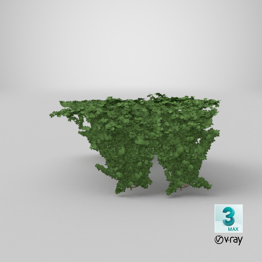 3D model ivy https://p.turbosquid.com/ts-thumb/bj/eJsCos/GUdbVUgt/render.0001/png/1520763215/1920x1080/fit_q87/4e46d3830a1b057624e04b0e6758cc05e89ec423/render.0001.jpg