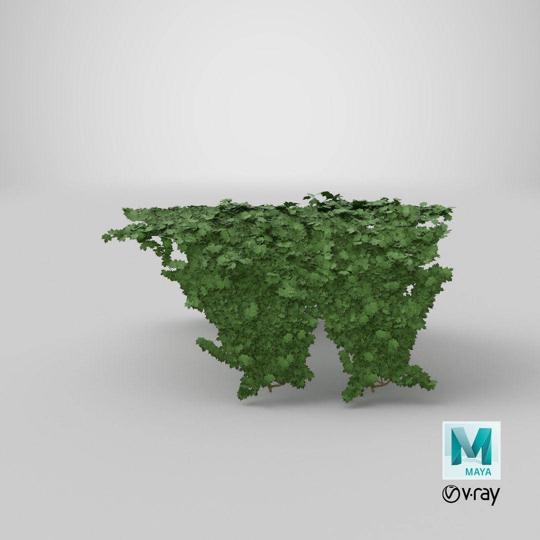 3D model ivy https://p.turbosquid.com/ts-thumb/bj/eJsCos/tw1yVk5R/render.0001/png/1520763205/1920x1080/fit_q87/9c86abfb1572ee706335e60ff10f7bbf43ae9ec8/render.0001.jpg