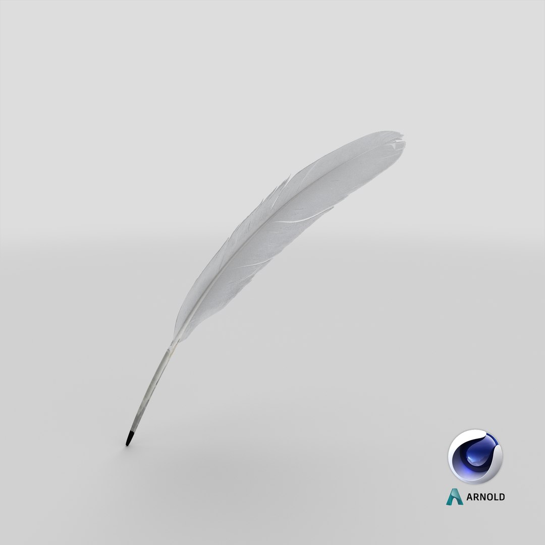3D white goose feather model https://p.turbosquid.com/ts-thumb/bj/fPwcHV/Bq/stemcell_cinema_4d_arnold_render/png/1648558104/1920x1080/fit_q87/a42cc4446a1ef33d427f1952c9aa5c4e745e5f63/stemcell_cinema_4d_arnold_render.jpg