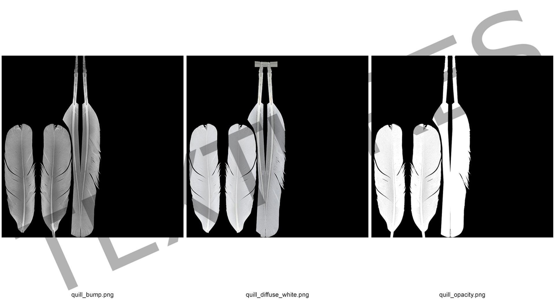 3D white goose feather model https://p.turbosquid.com/ts-thumb/bj/fPwcHV/ow4p91Xz/whitegoosefeather3dsmodel015/jpg/1563830676/1920x1080/fit_q87/4de5d4fdf7508ac11ae8d1d02ceae6f61dc2190e/whitegoosefeather3dsmodel015.jpg