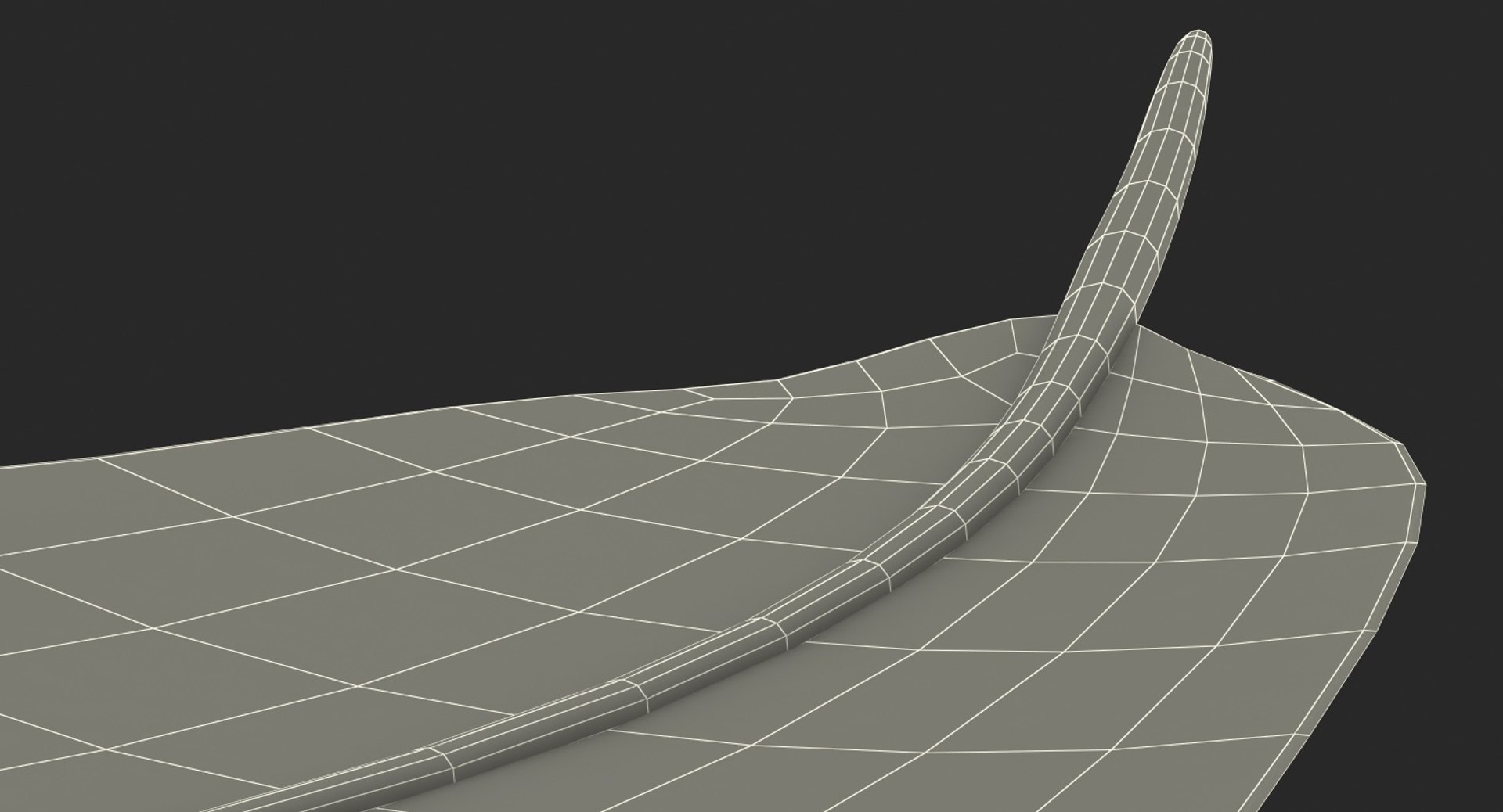 3D white goose feather model https://p.turbosquid.com/ts-thumb/bj/fPwcHV/uCPWBQad/whitegoosefeather3dsmodel021/jpg/1563830696/1920x1080/fit_q87/e02ee14497251eb238650f165f1298f97376386f/whitegoosefeather3dsmodel021.jpg
