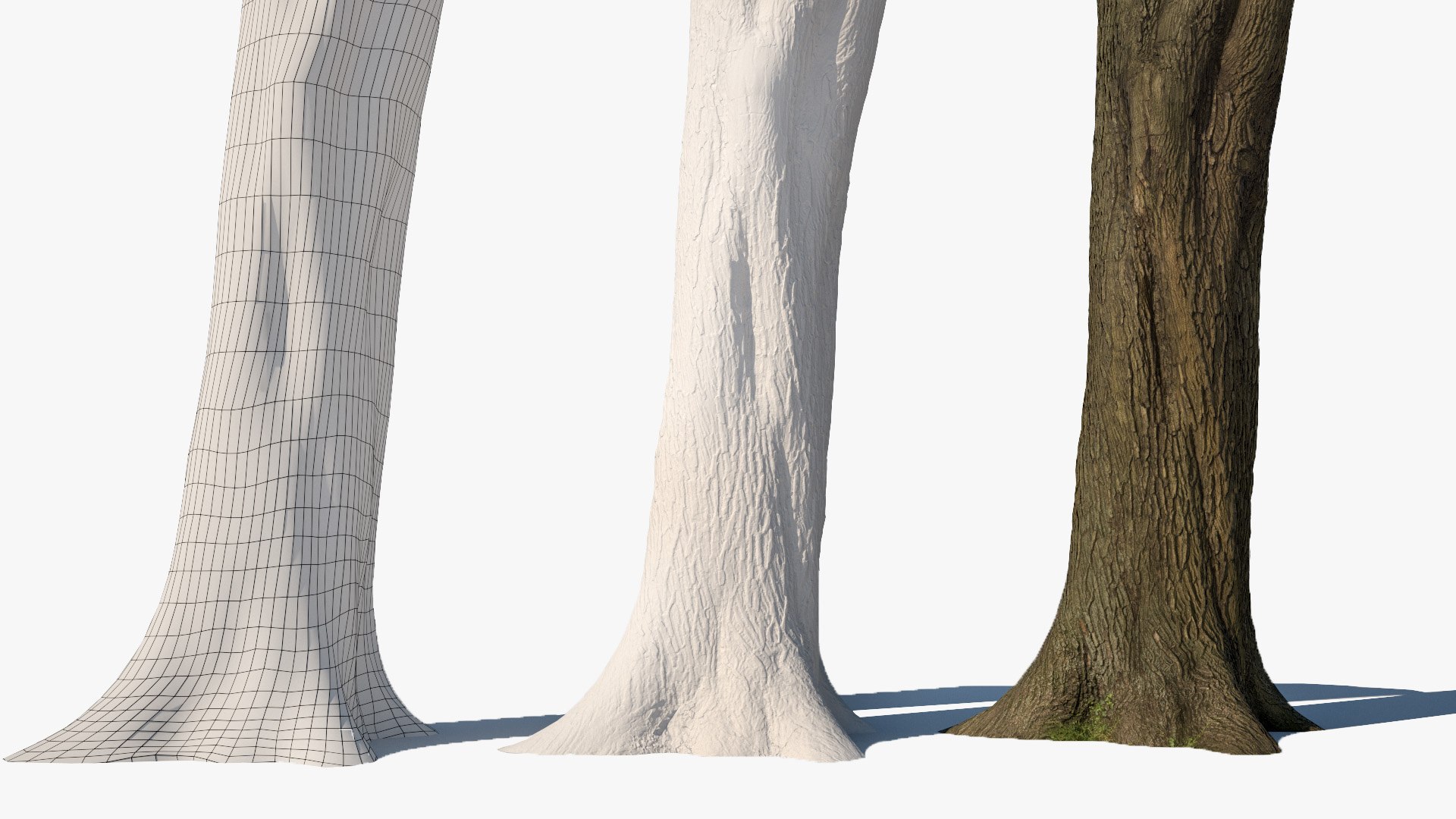 photogrammetry maple tree model https://p.turbosquid.com/ts-thumb/bj/fgrUd9/LzX5NqkS/tree_maple01_06/jpg/1508759823/1920x1080/fit_q87/829a165bb1910d5d7784d0b8c4fa0a1344d152bf/tree_maple01_06.jpg