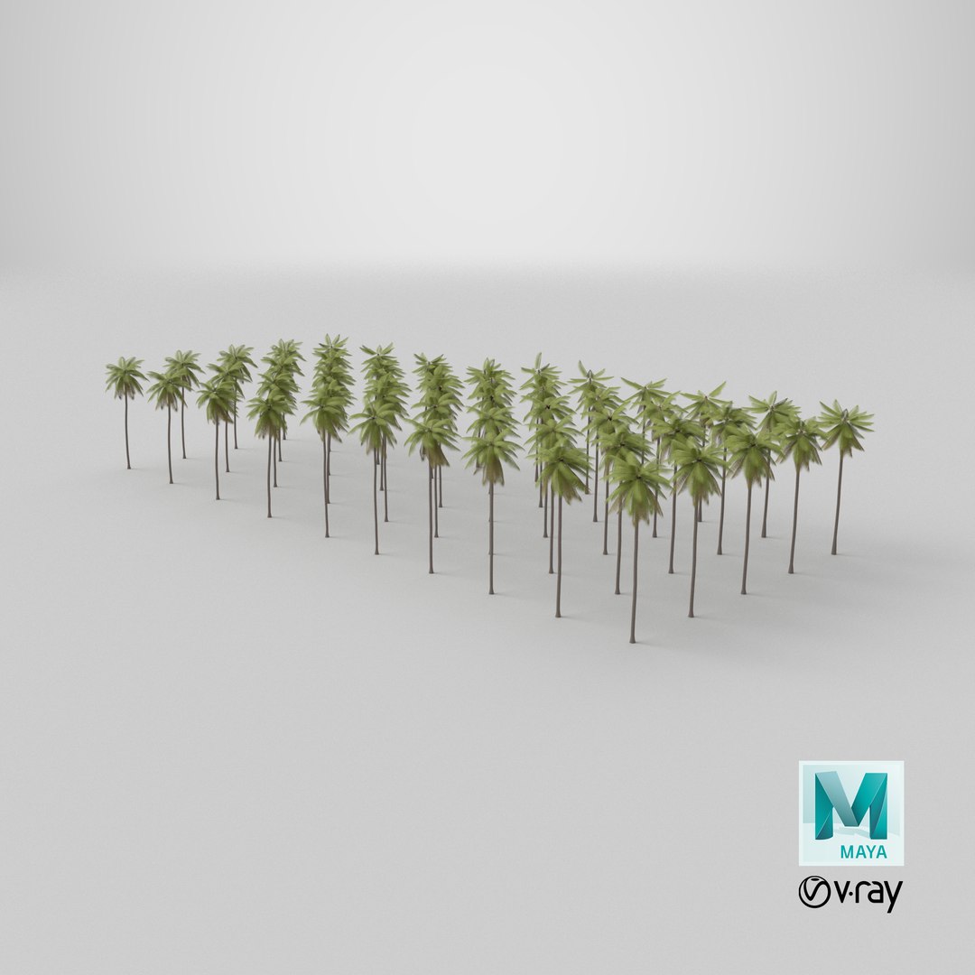 3D Palms Lowpoly Set 02 with LODs model https://p.turbosquid.com/ts-thumb/bj/ndaQSI/Bd/stemcell_maya_vray_render/png/1754925885/1920x1080/fit_q87/adda97484450d0155744eb2f9f4bab81dd7c41f8/stemcell_maya_vray_render.jpg